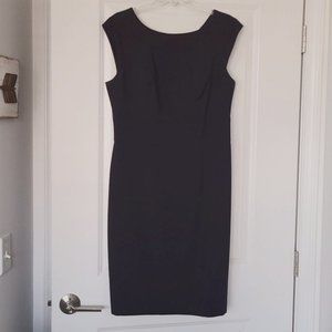 The Limited Navy dress